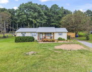 115 Eddy Scant City Road, Arab image