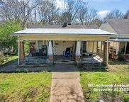 1917 Holbrook Avenue, Bessemer image
