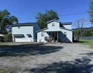 230 Riverside Drive, Clanton image