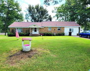 1620 Convent Road, Cullman image