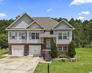 185 Horton Drive, Odenville image