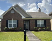 259 Warwick Lane, Alabaster image