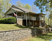 111 Warren Drive, Wedowee image