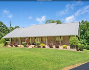 1733 Mountain View Road, Springville image