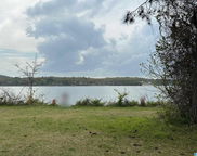 1331 Funderburg Bend Road, Pell City image