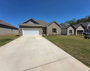 146 County Road 1019, Thorsby image