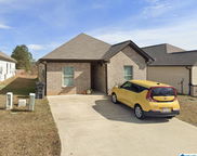 551 Kincaid Cove Lane, Odenville image