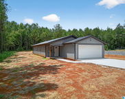 1129 Earl Roberts Road, Anniston image