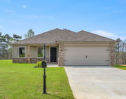 334 Amber Avenue, Calera image