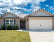 127 Briarfield Lane, Calera image