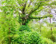 14548 Highway 280 Unit Lot #1 and Lot #2, Chelsea image