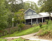 310 Creek Run Road, Wedowee image