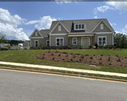 217 Mayfair Park, Alabaster image