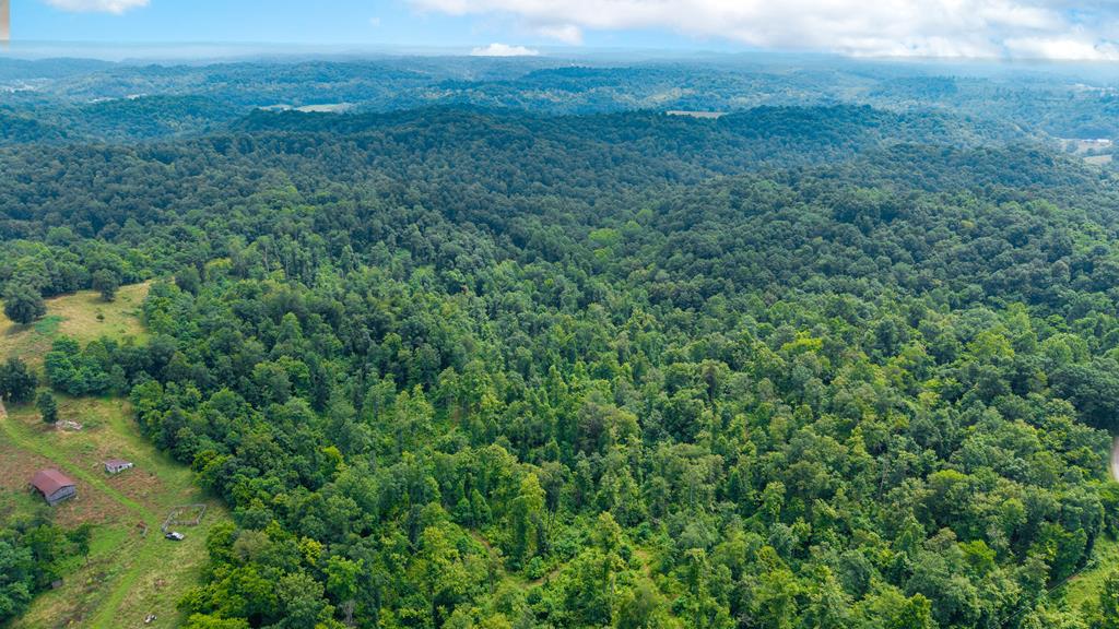 Real estate listing image