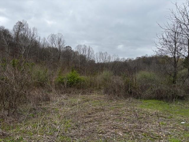 Real estate listing image