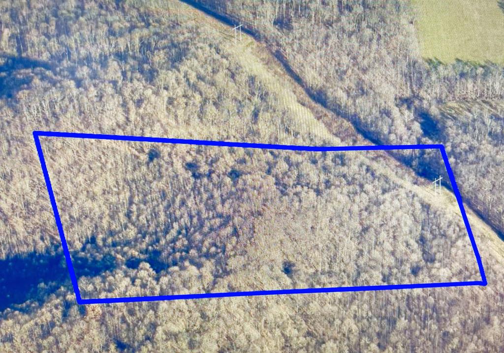 Real estate listing image