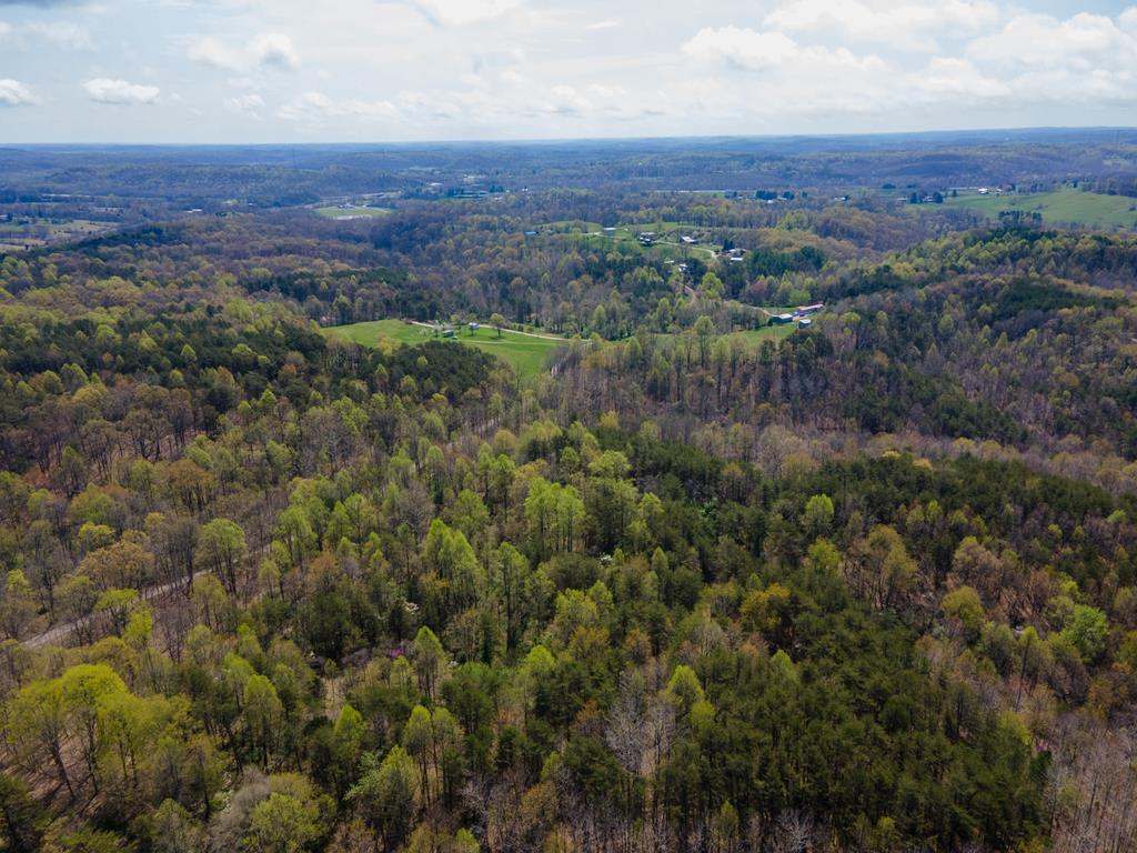 Real estate listing image