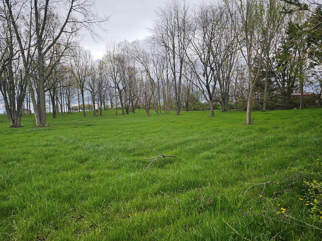 Real estate listing image