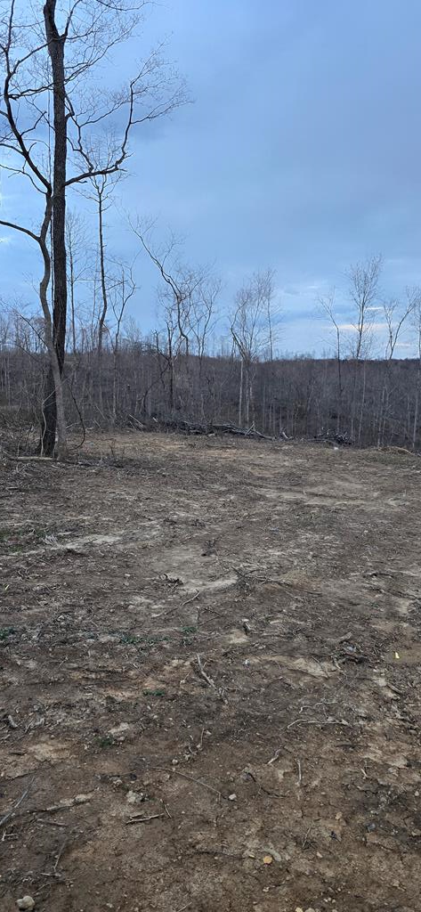 Real estate listing image