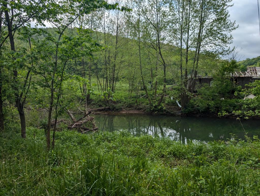 Real estate listing image