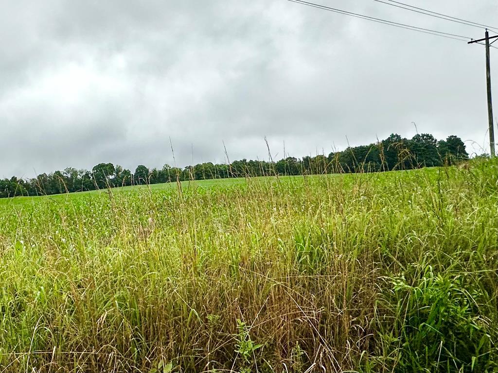 Real estate listing image