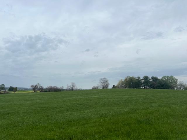 Real estate listing image