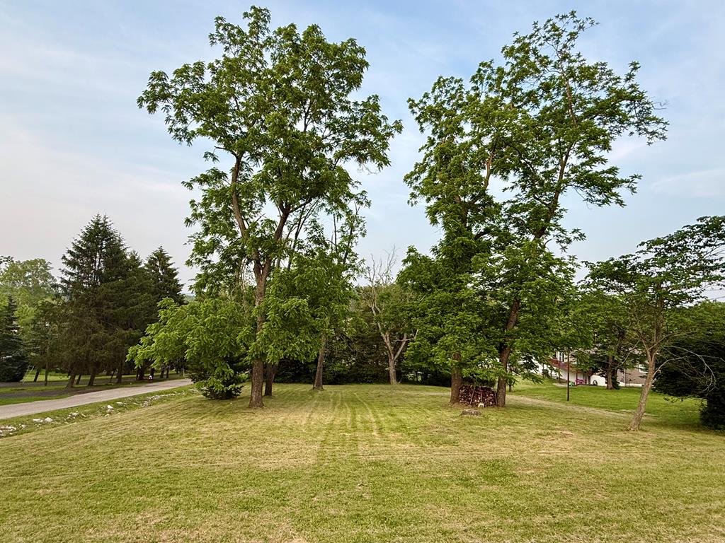 Real estate listing image