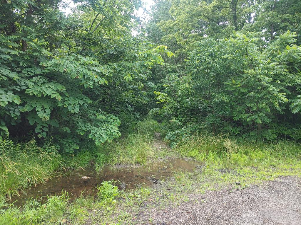 Real estate listing image