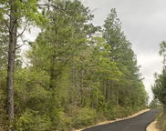 60 acres Sherman Kennedy Road, Baker image