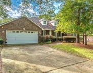 713 Fennec Fox Preserve, Crestview image