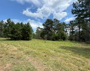 1704 Watson Road, Defuniak Springs image