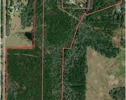 37 Acres Bob Sikes Road, Defuniak Springs image