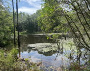 20 acres Canyon Trail, Baker image
