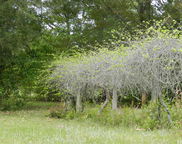 6039 Old Bethel Rd Unit #Lot B, Crestview image