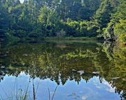 363 Acres Fl-85, Laurel Hill image