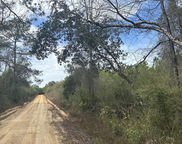 Tract#6301 W Love Road, Bonifay image
