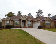 202 Pinque'  Coat Court, Crestview image