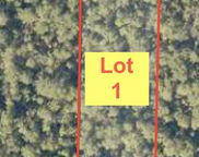 Lot 1 John Nix Road, Crestview image