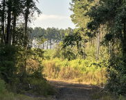 Tract#6201 Doyle Morgan Road, Defuniak Springs image