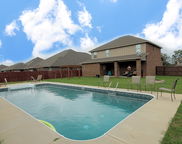 266 Paradise Palm Circle, Crestview image