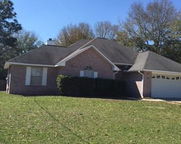 803 Aunt Polly Place, Crestview image