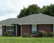 514 Tikell Drive, Crestview image