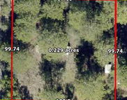 XXX Tangerine Street, Defuniak Springs image