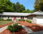 6076 Bud Moulton Road, Crestview image