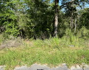 E White Rose Street, Defuniak Springs image