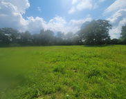 16 acres Williams Road, Defuniak Springs image