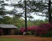 6268 Old Bethel Road, Crestview image