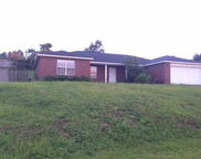 329 Egan Drive, Crestview image