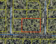 W Yellow Popular Avenue, Defuniak Springs image