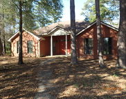 191 Adams Drive, Crestview image